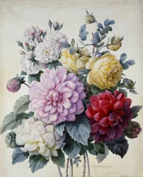 Blumenstrauß, Dahlien und Rosen, veröffentlicht ca. 1830-40